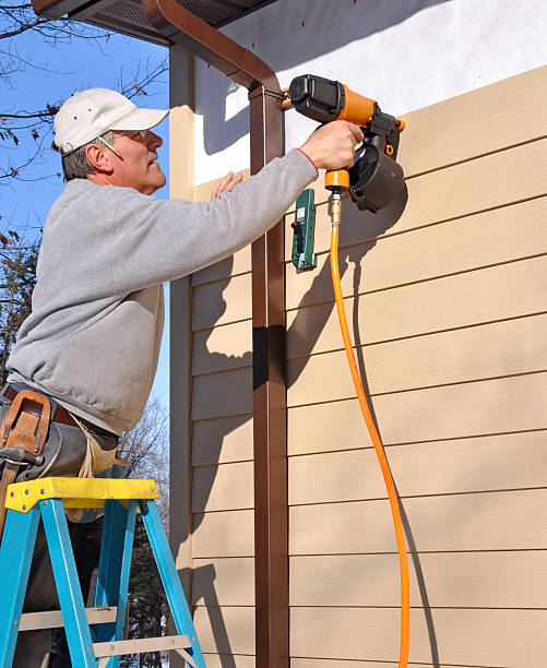 Best Steel Siding Installation  in New Athens, IL